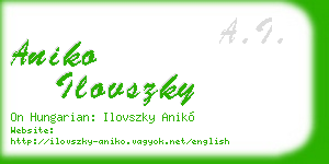 aniko ilovszky business card